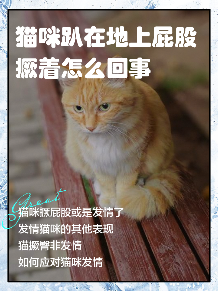 把猫使劲摔在地上会怎样