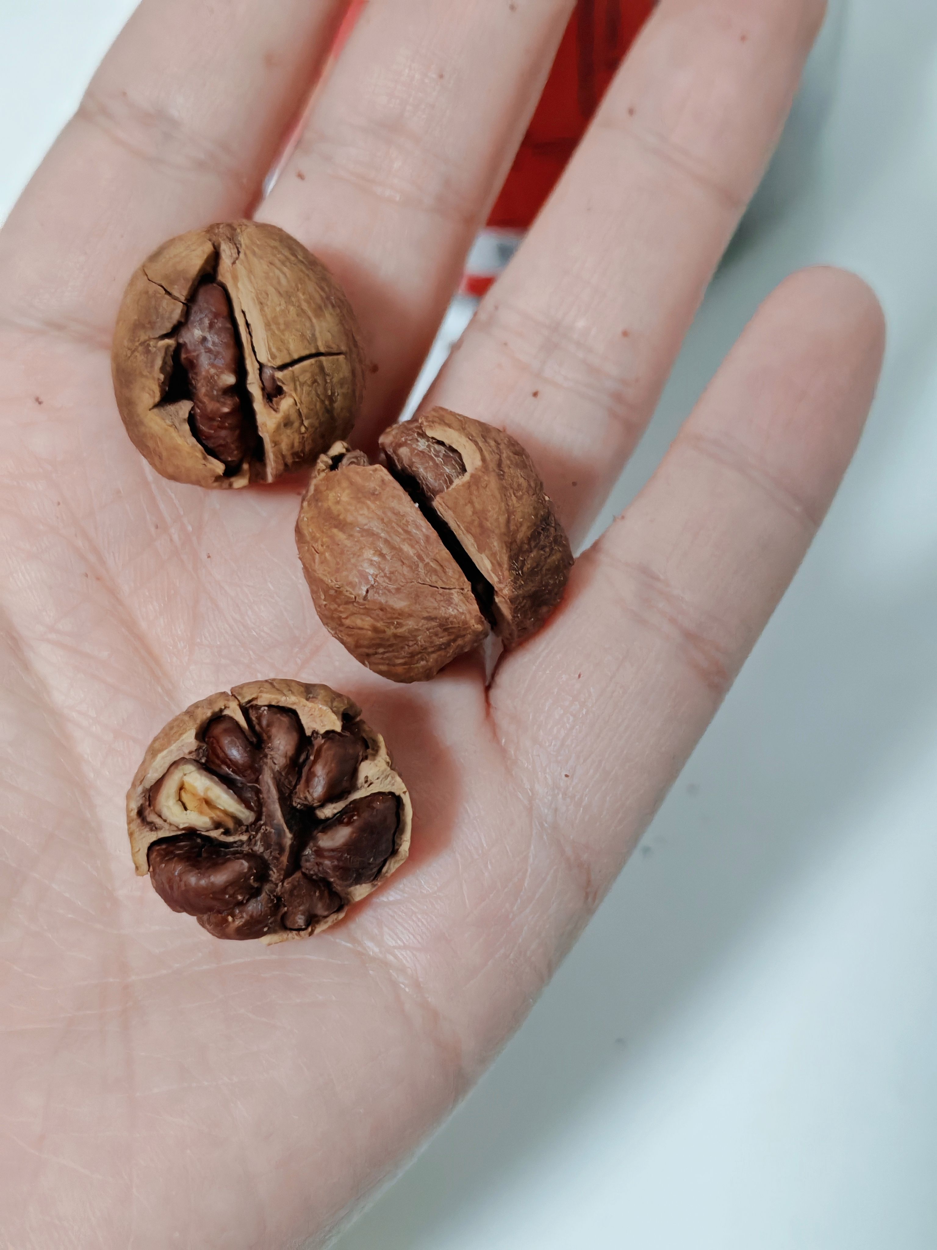 剥完核桃手黑怎么清洗掉