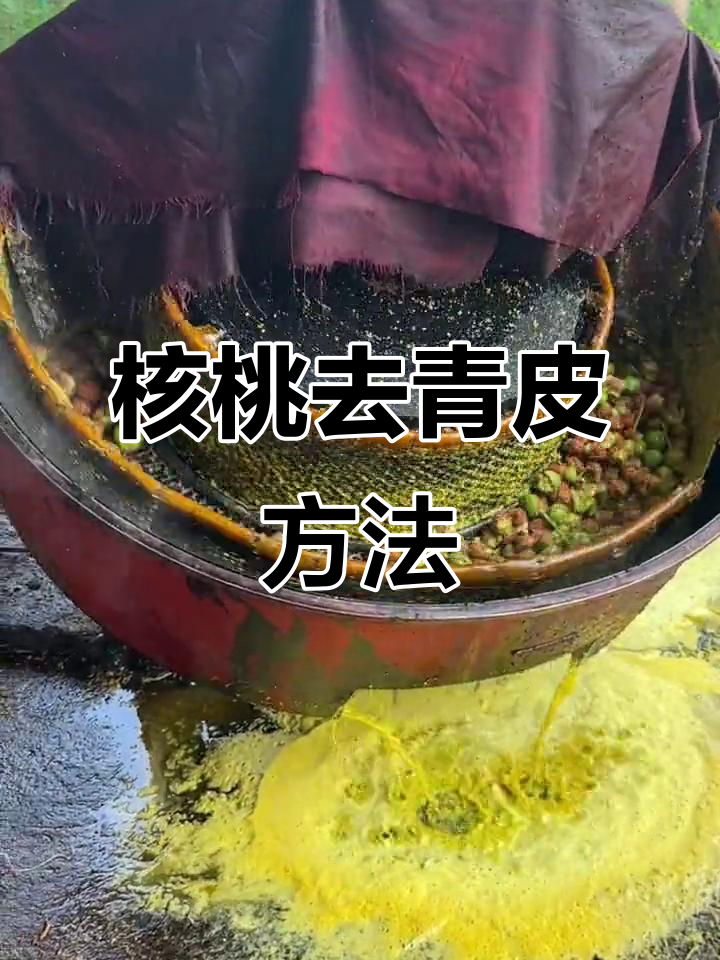 剥完核桃手黑怎么清洗掉