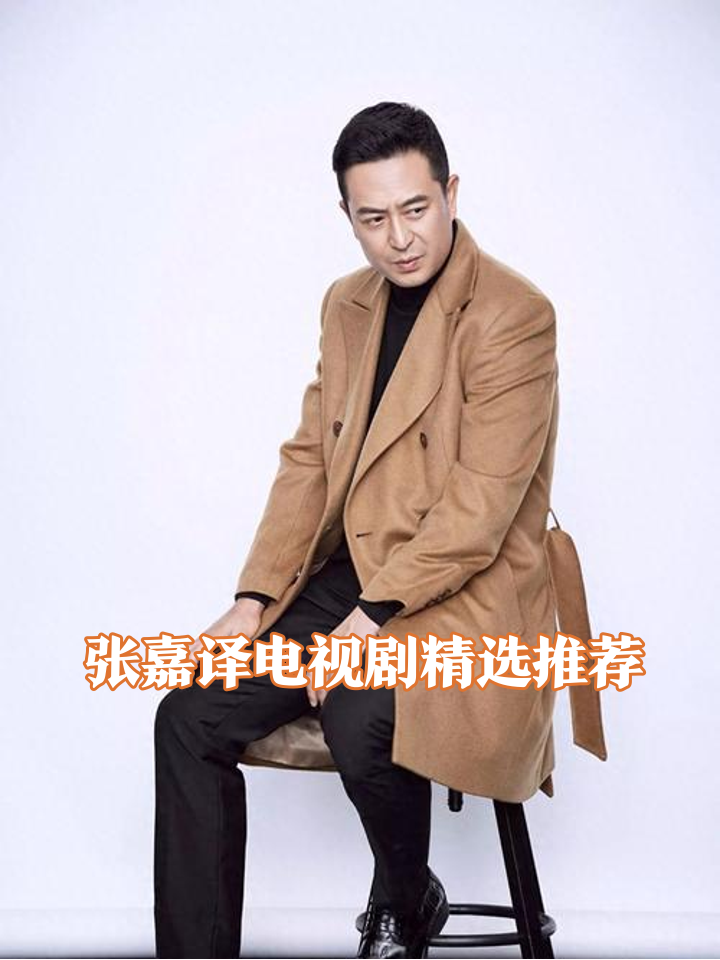 张嘉译主演的电视剧推荐