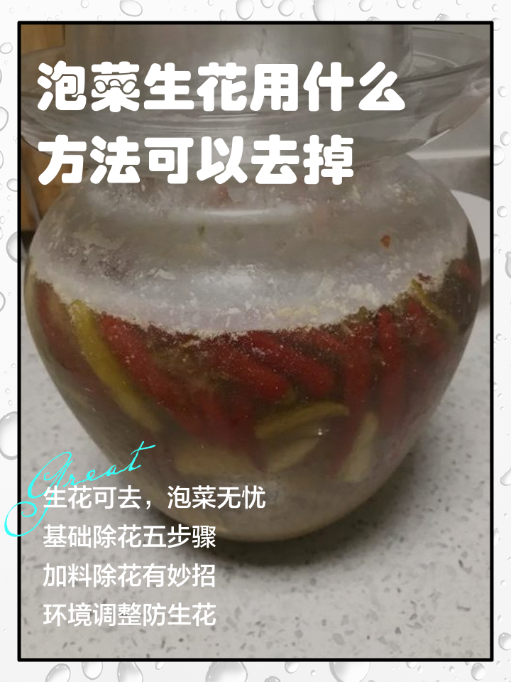 泡菜坛子容易起白怎么办才能解决