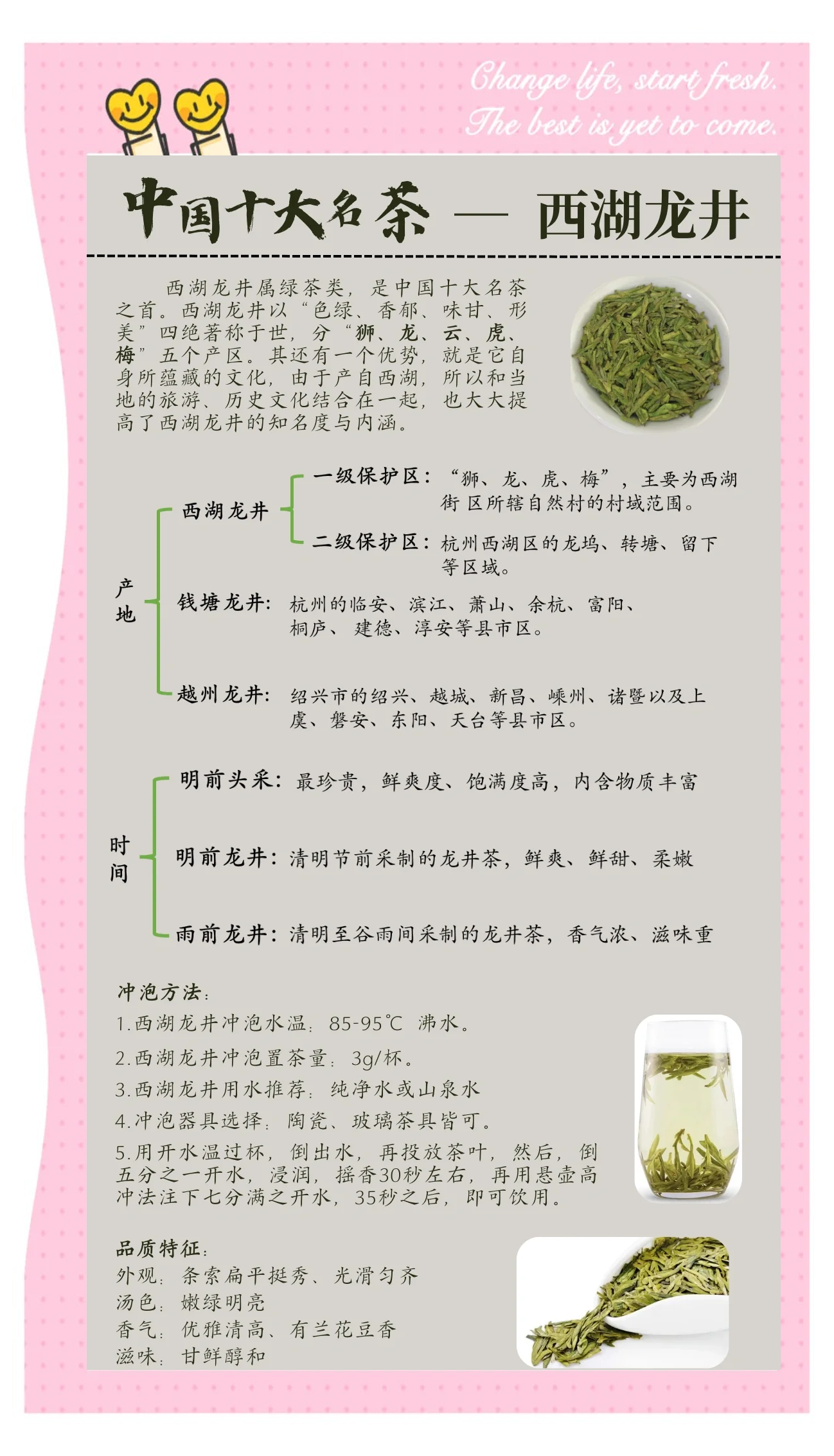 龙井正确的泡茶七个步骤