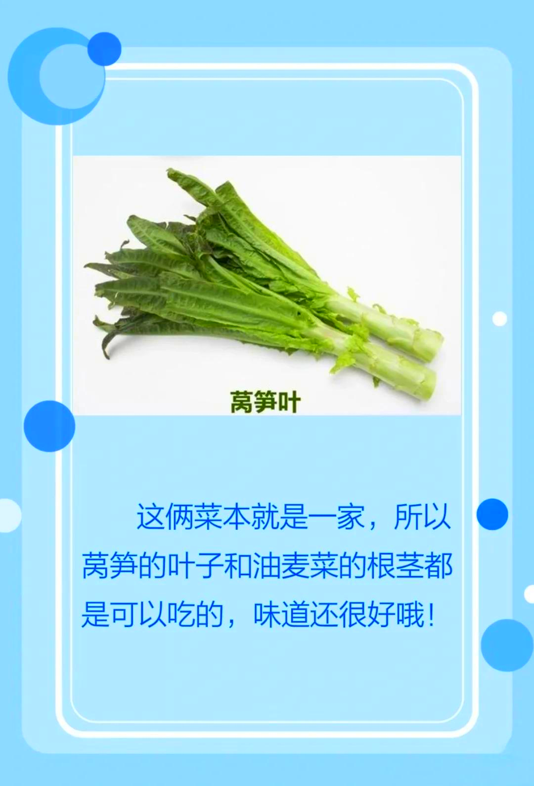 聊聊看,油麦菜有哪些营养价值？