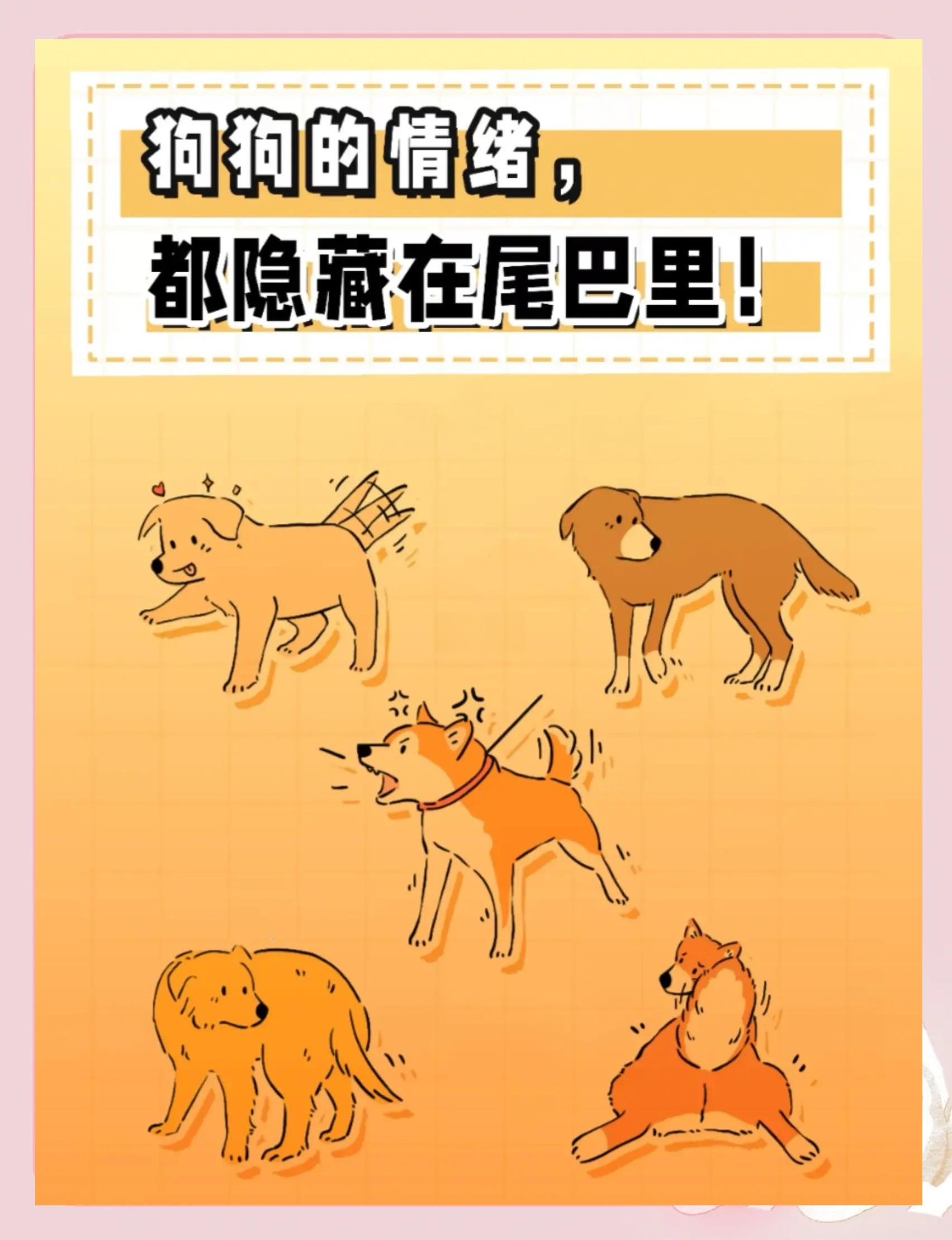 小狗的尾巴像什么比喻句