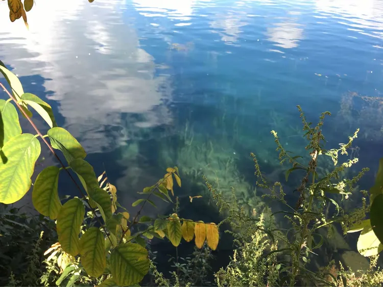 奇丽的意思词语奇丽的意思是什么