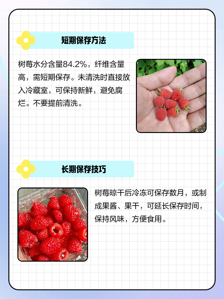 树莓怎么洗才是最干净的