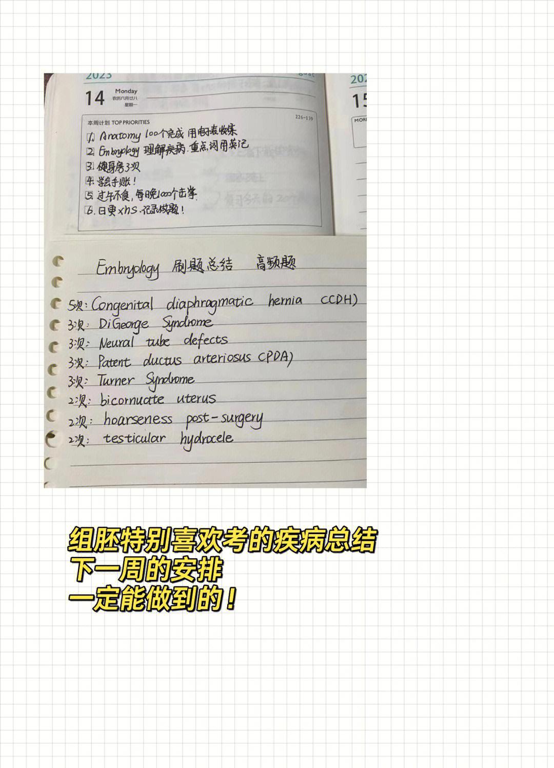 为什么大家都不建议在国内考USMLE