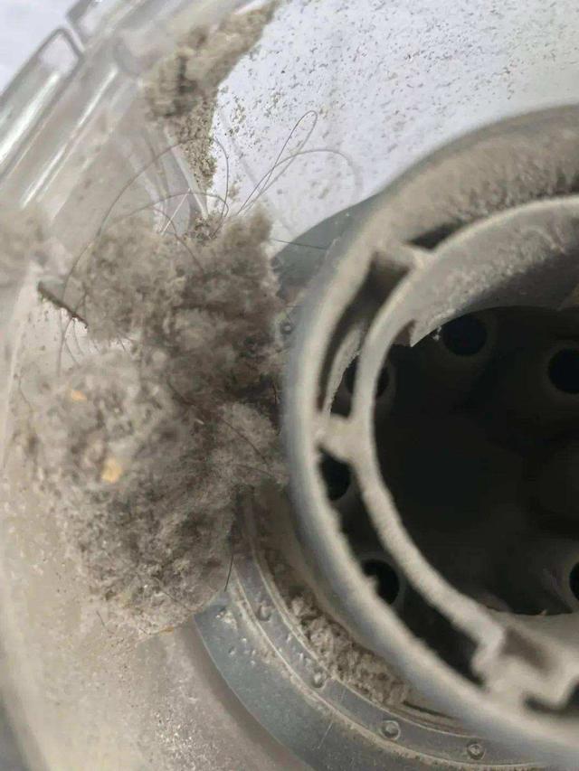 户尘螨和粉尘螨是什么东西