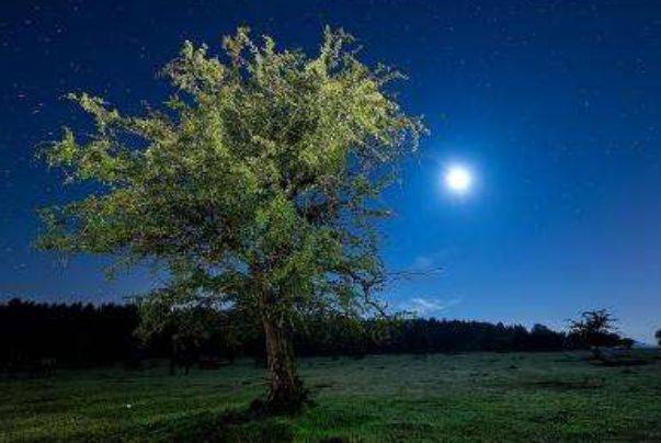 周公解梦梦见死人了是什么意思