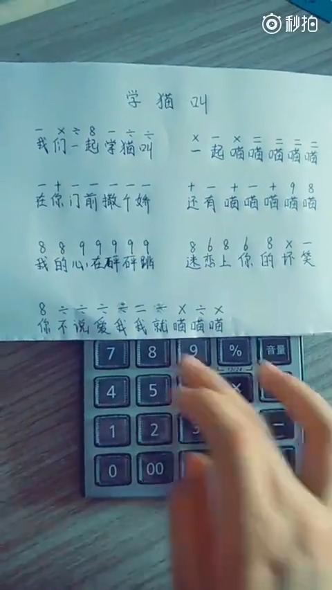 我们一起学猫叫歌曲歌词