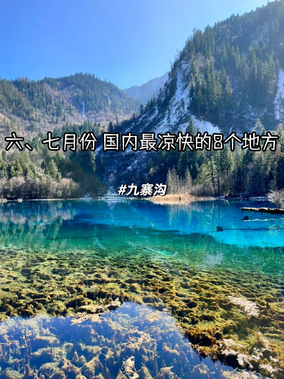 帅沛儿