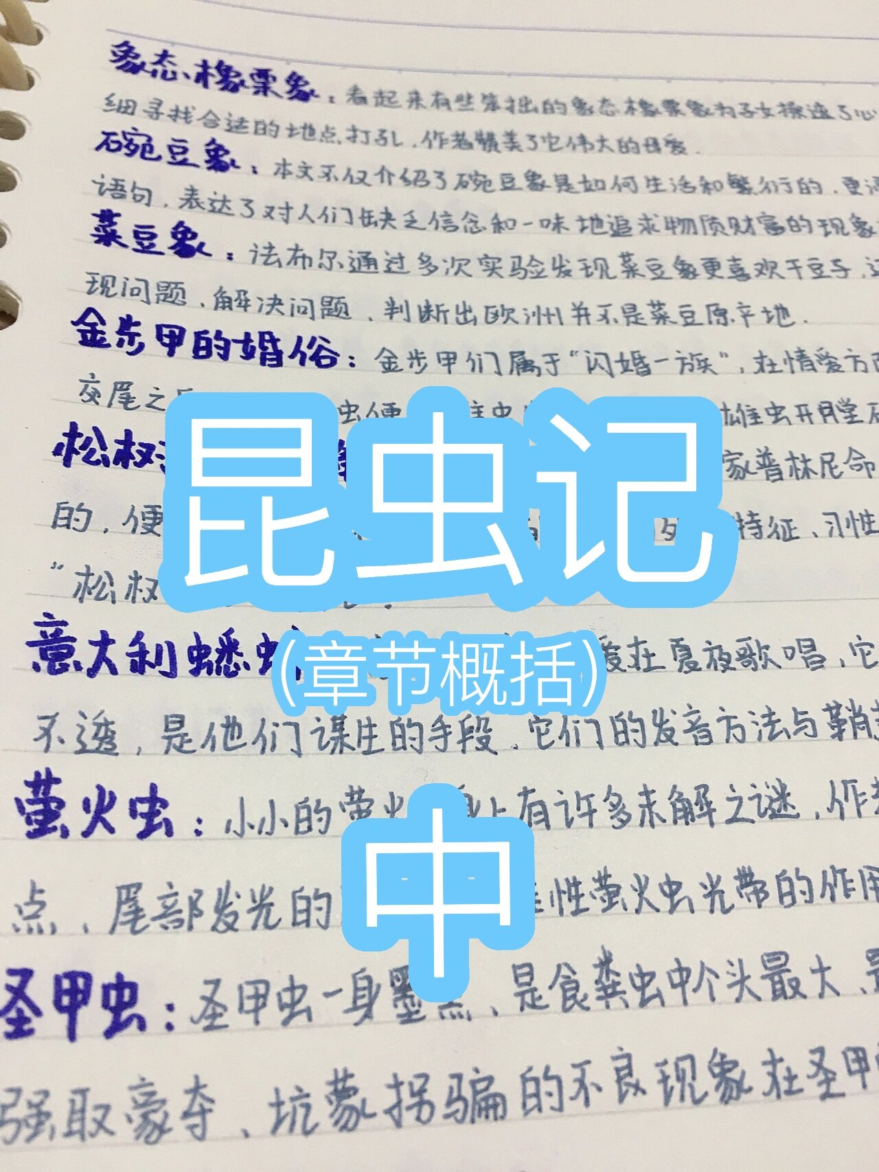 巫念桃