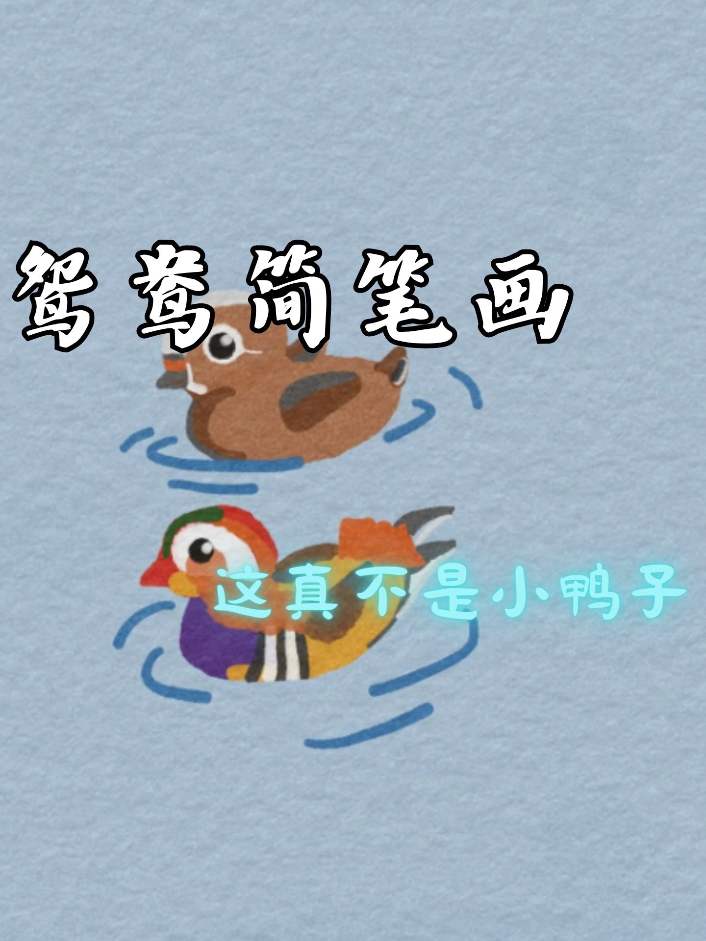 只羡鸳鸯不羡仙解释及出处