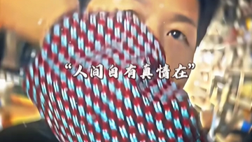 人间自有真情在下句是什么