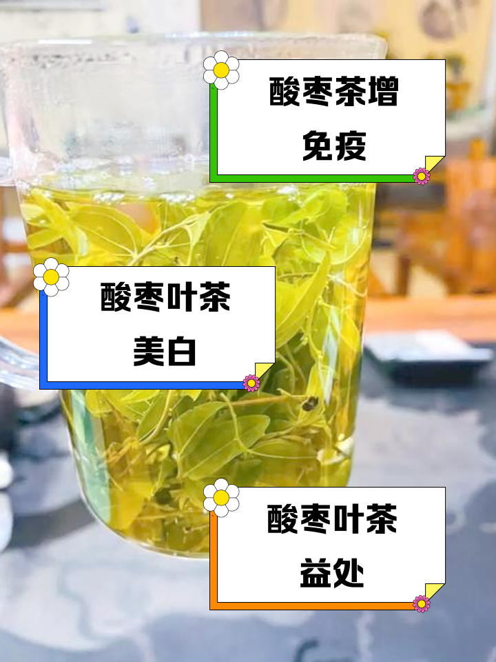 酸枣叶茶的功效与作用及禁忌