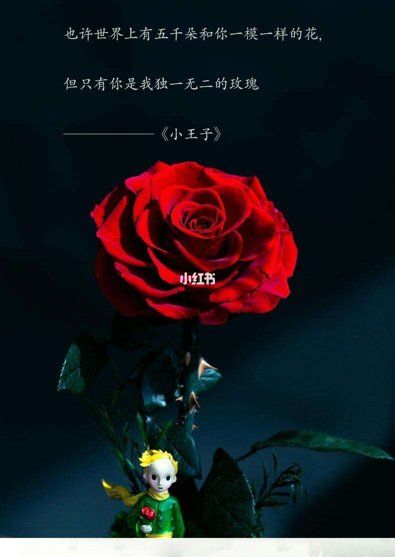 怎么理解你是我的缪斯的意思