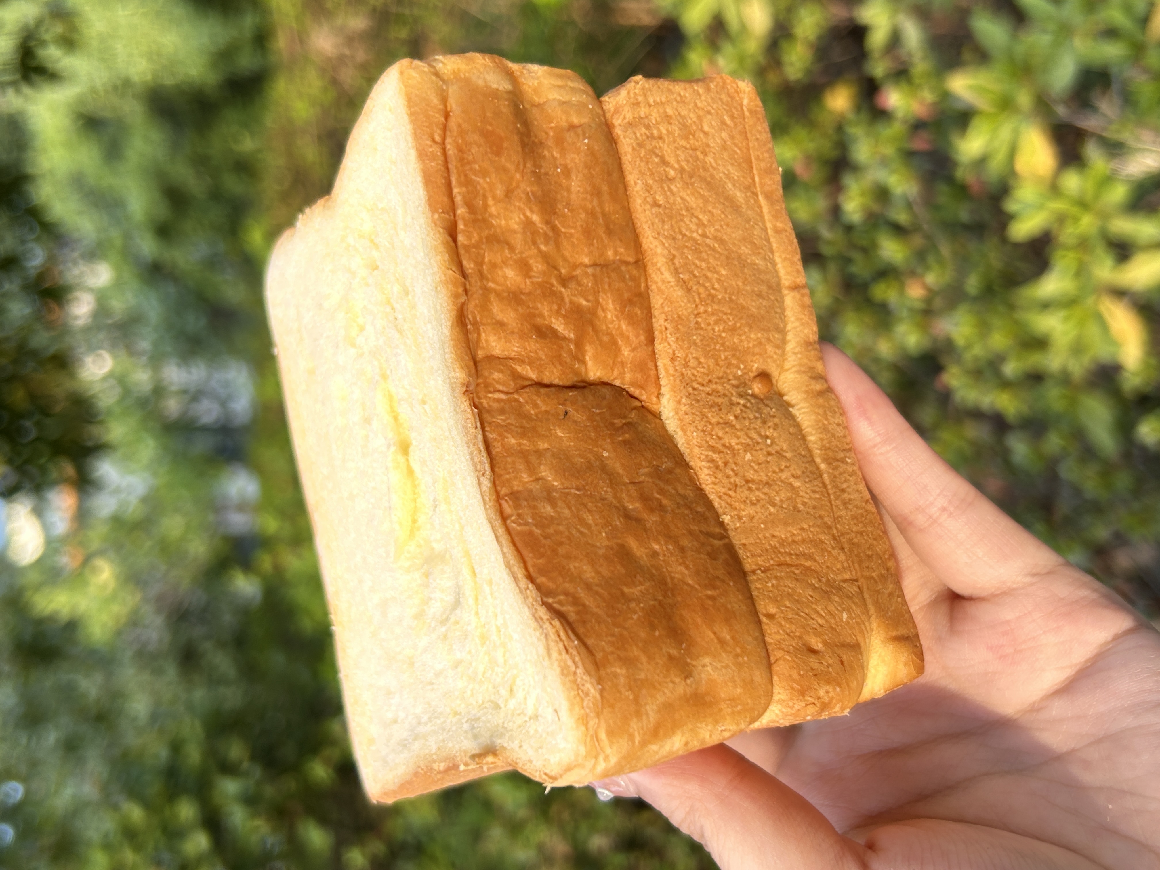 黄油怎么用黄油使用方法