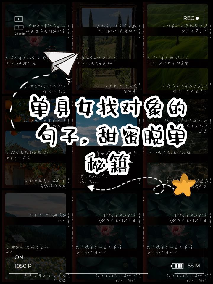 表达想脱单的简短句子