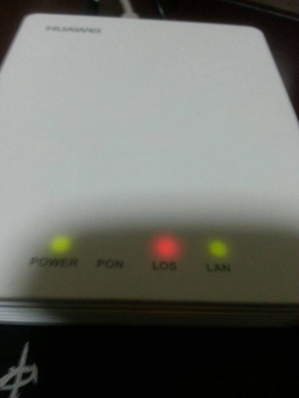 猫los红灯闪烁什么意思