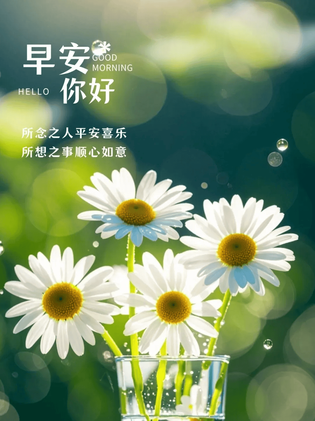 适合发朋友圈的正能量文案