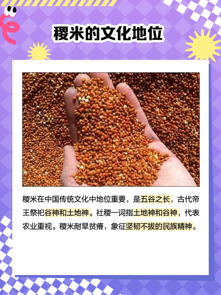 五谷稻黍稷麦菽中的菽是指什么东西