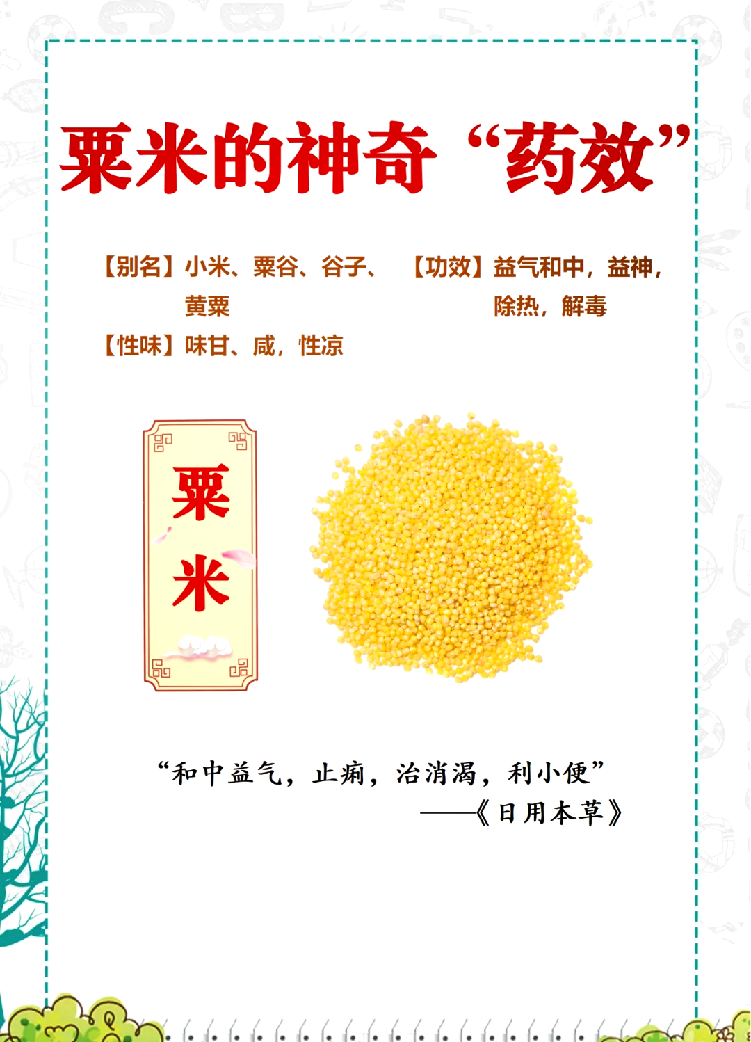 五谷稻黍稷麦菽中的菽是指什么东西