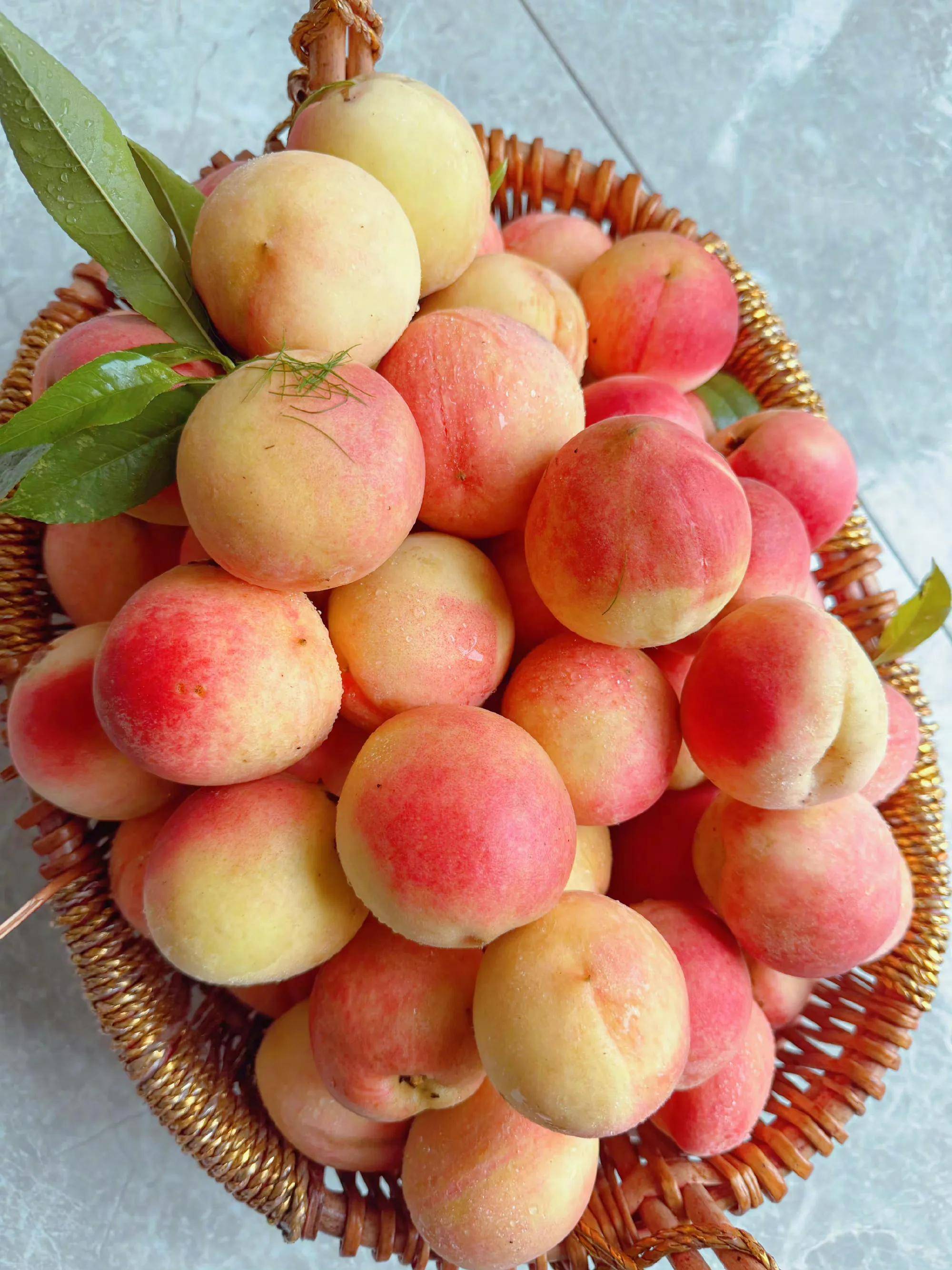 女人梦见从树上摘桃子预示什么意思