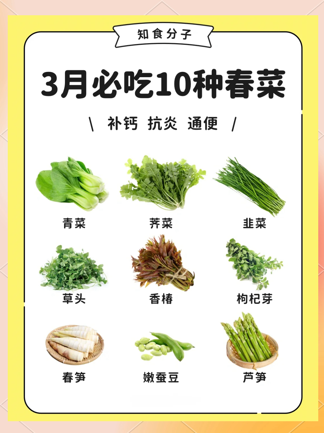 营养价值最高的蔬菜有哪些