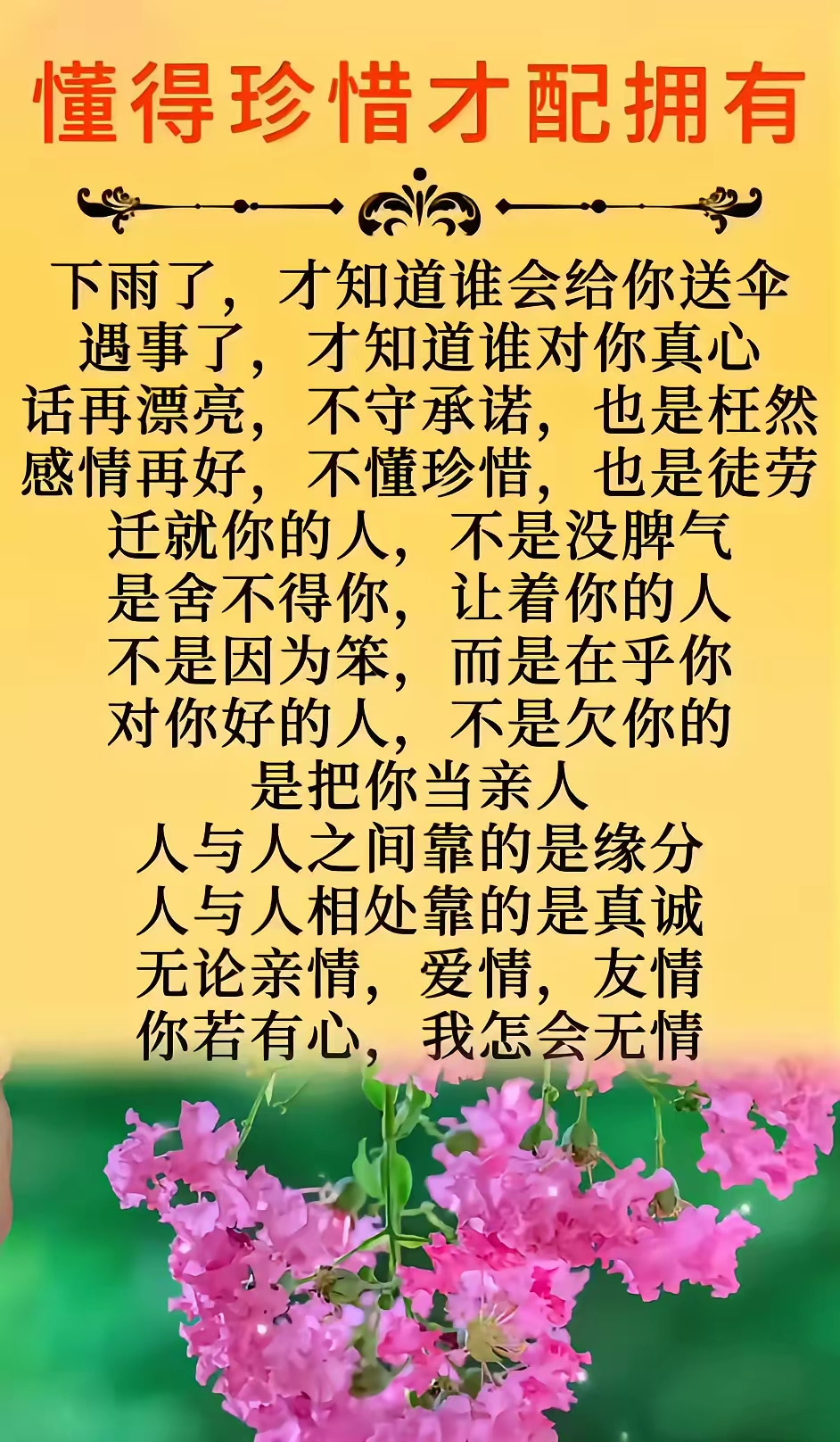 有关珍惜感情的句子示例