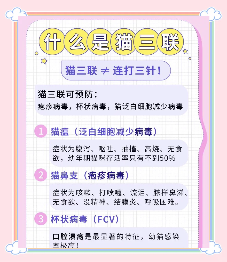 宠物医院打猫三联多少钱