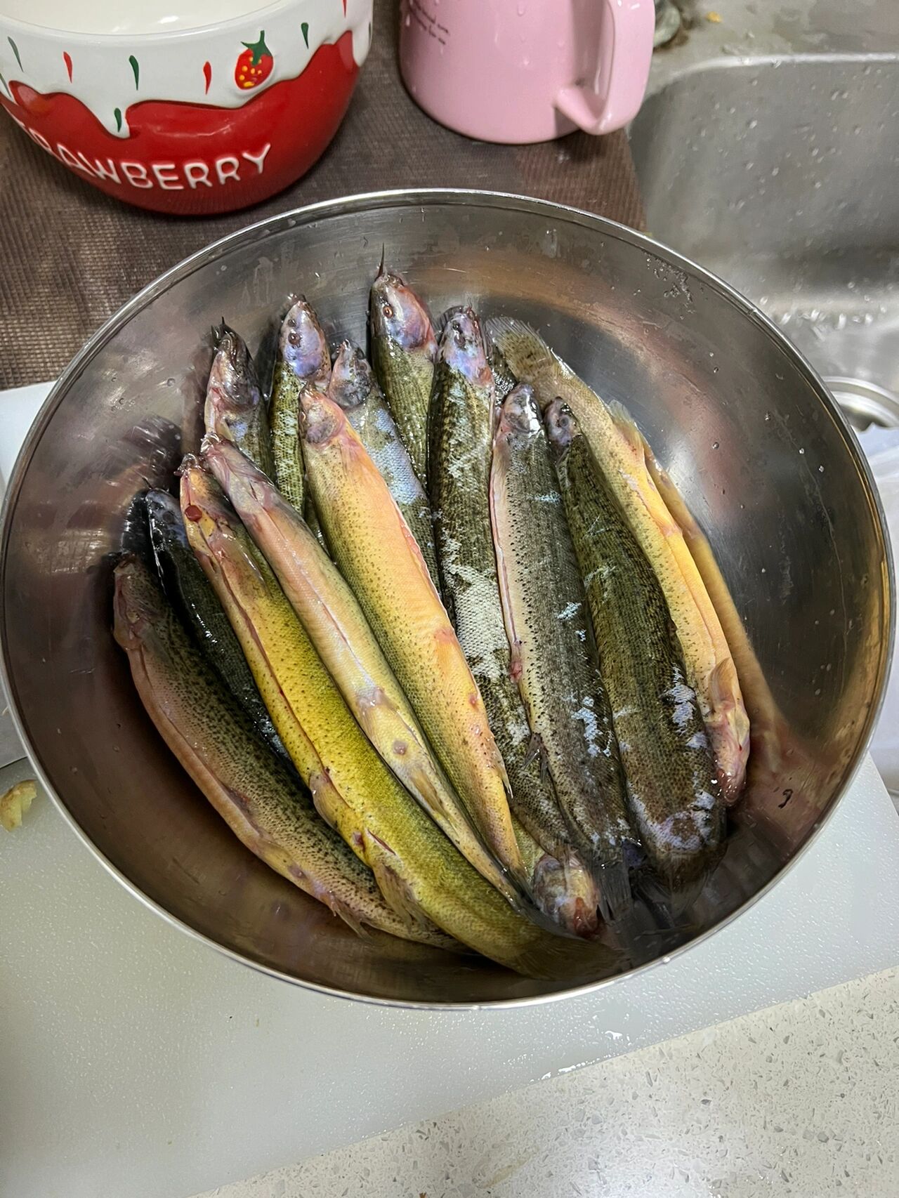 炖泥鳅汤的做法和功效