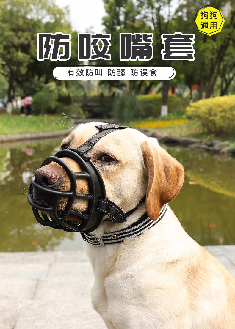 防狗咬的那个手臂戴的是什么？