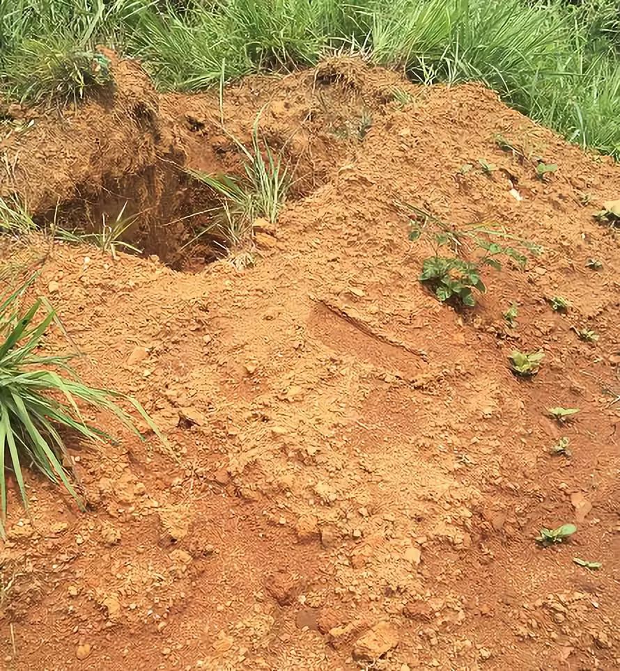 梦见祖坟被挖了是什么意思