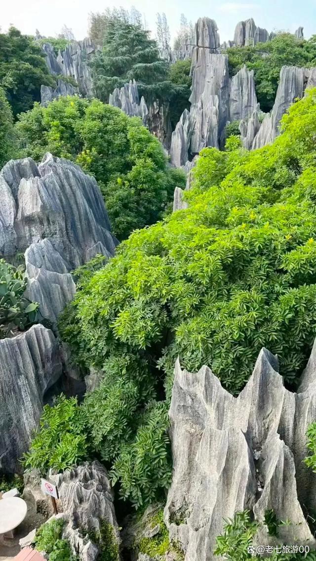 云南最美的十大风景区是哪些