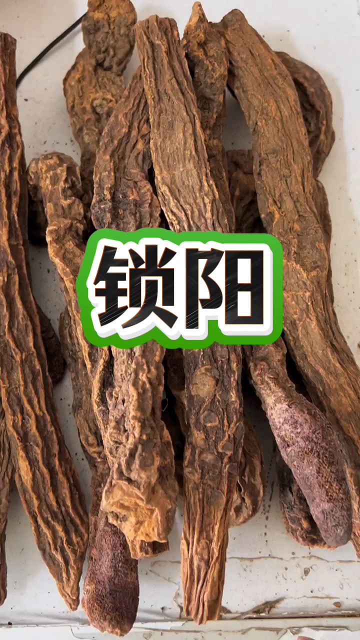 锁阳泡水的4种搭配及功效介绍