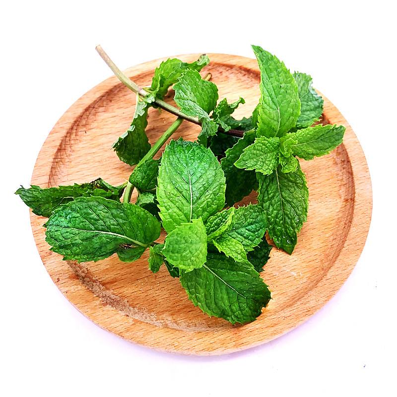 最适合食用的薄荷品种有哪些