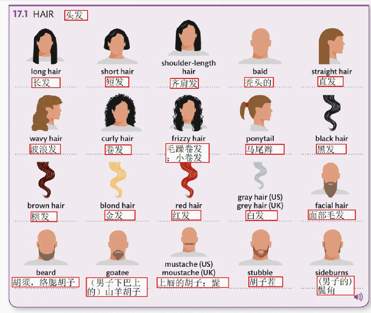 straight是什么意思