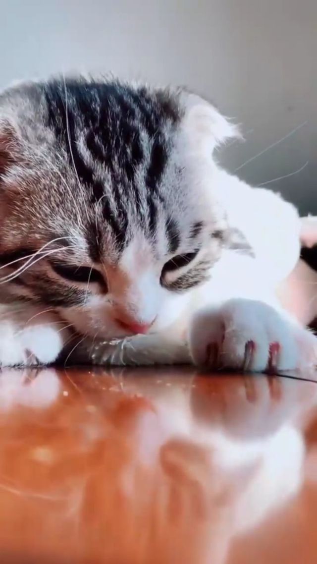 吧唧我的小宝贝什么意思