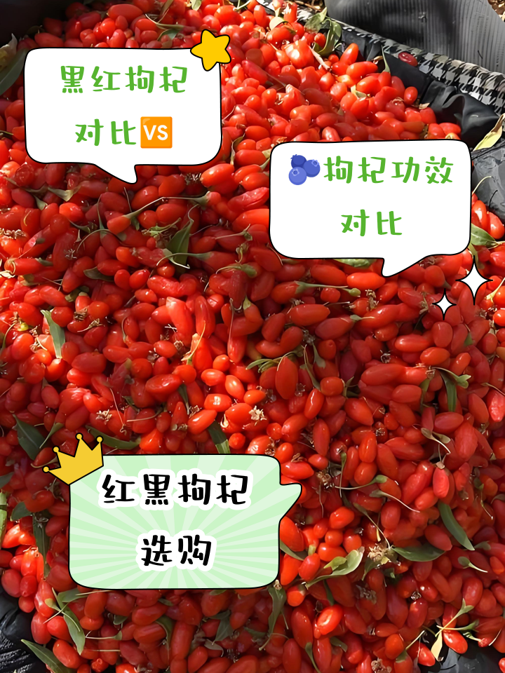 到底黑枸杞和红枸杞哪个对眼睛好