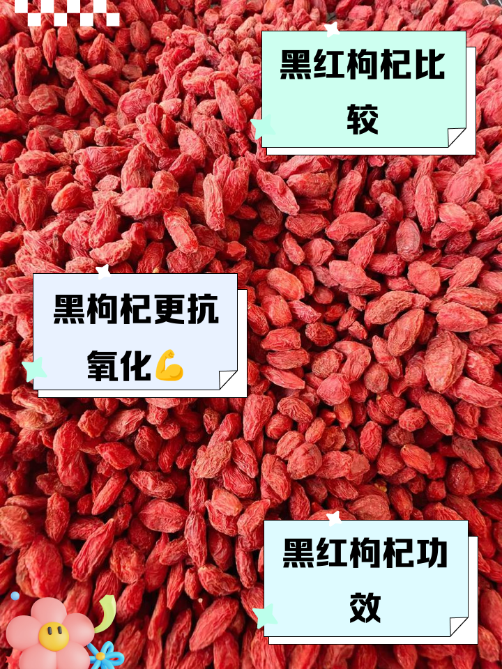 到底黑枸杞和红枸杞哪个对眼睛好