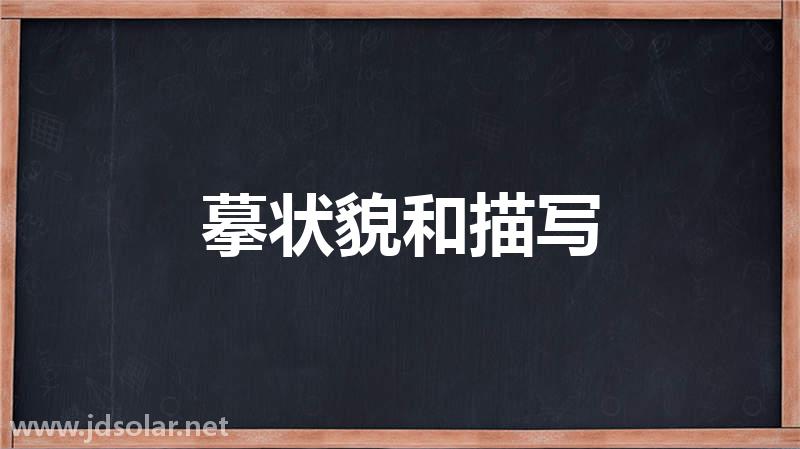 摹状貌的解释摹状貌的解释是什么