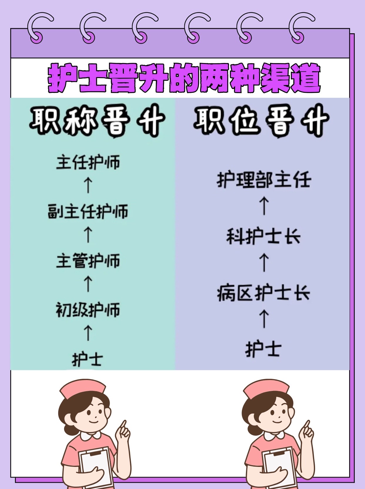 助产士属于医生还是护士