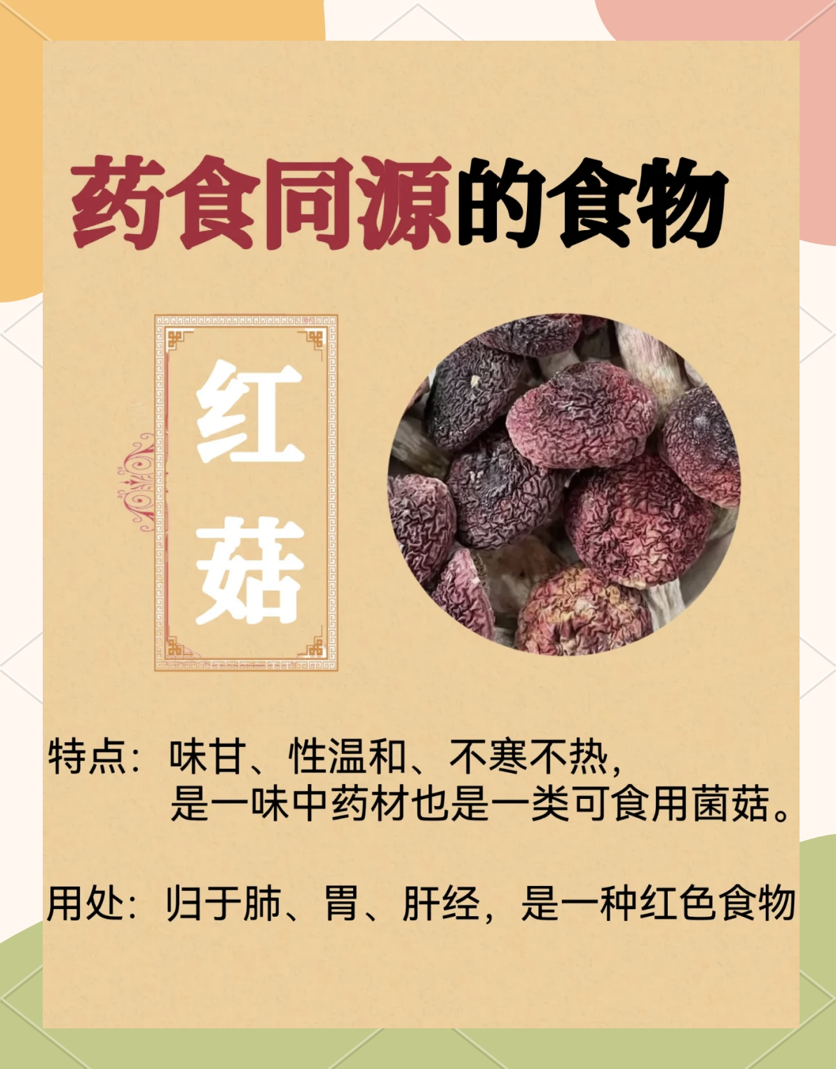 红菌菇的功效与作用有哪些