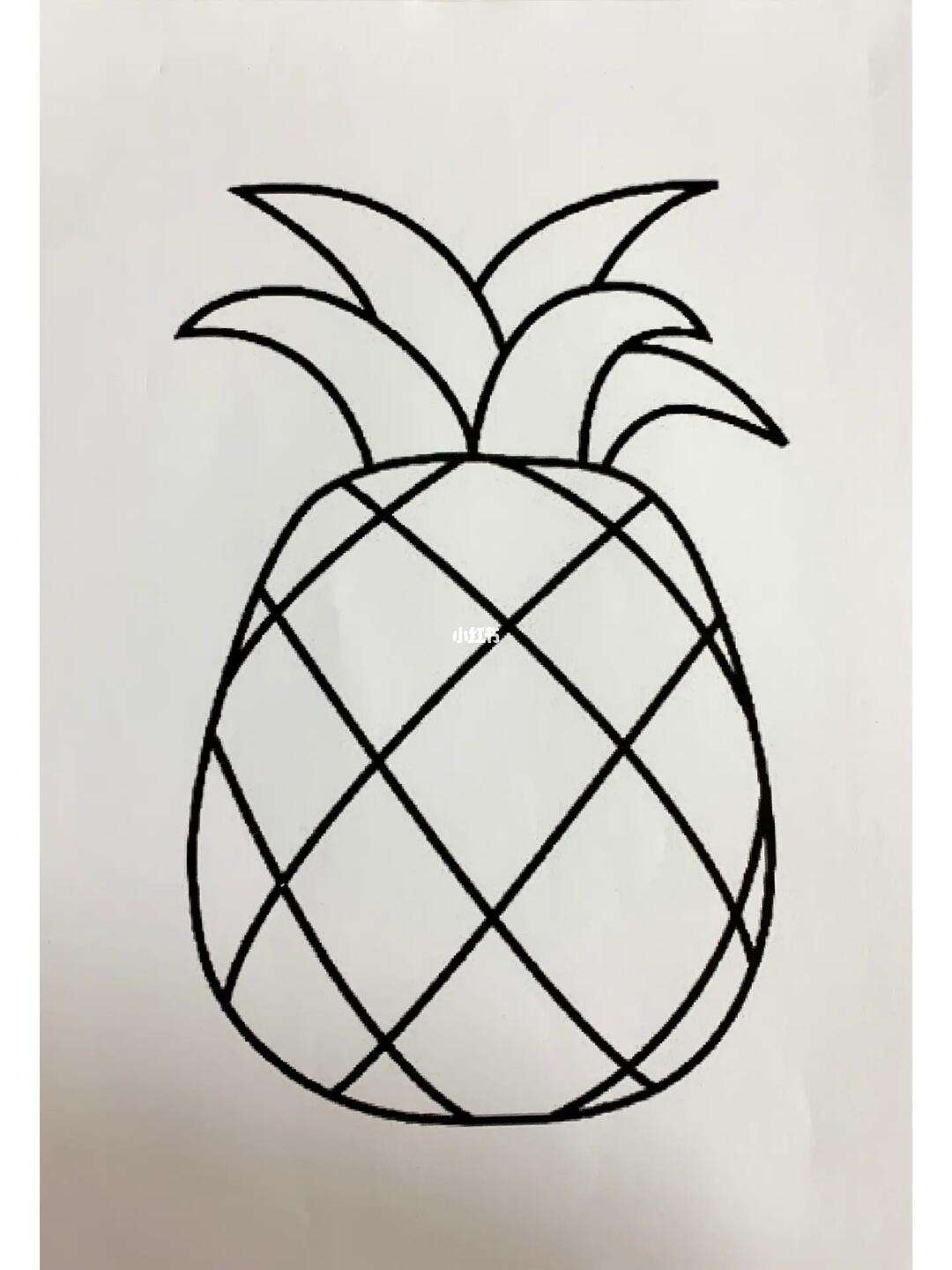 菠萝简笔画步骤（图解）