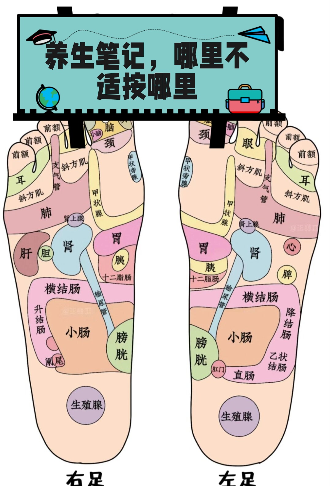 人的脚底有多少个穴位?