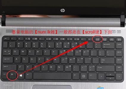 电脑键盘打不出字只有字母