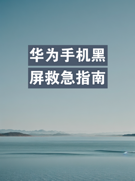 苹果手机摄像头黑屏是什么样的原因