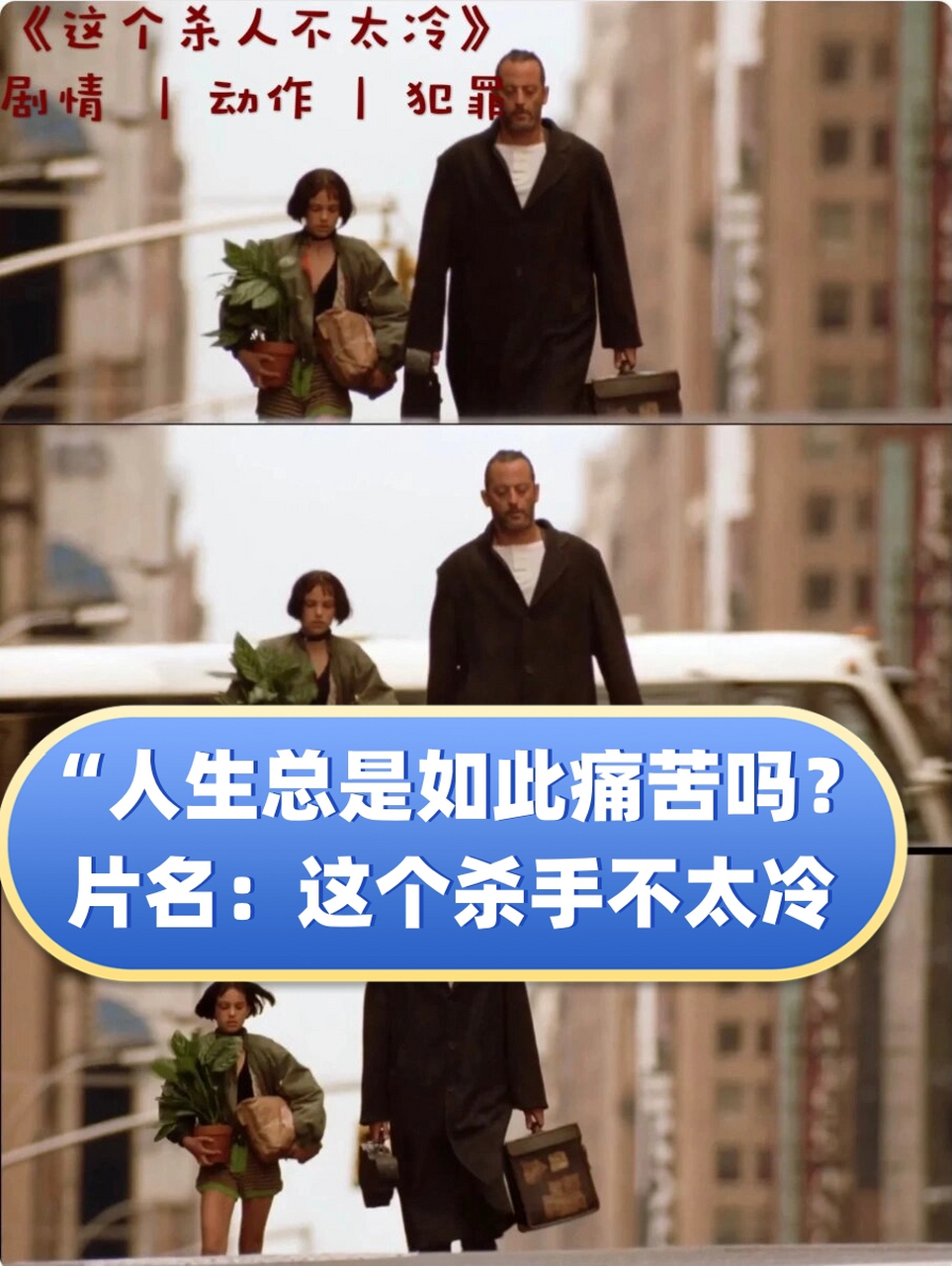 这个杀手不太冷人物语录