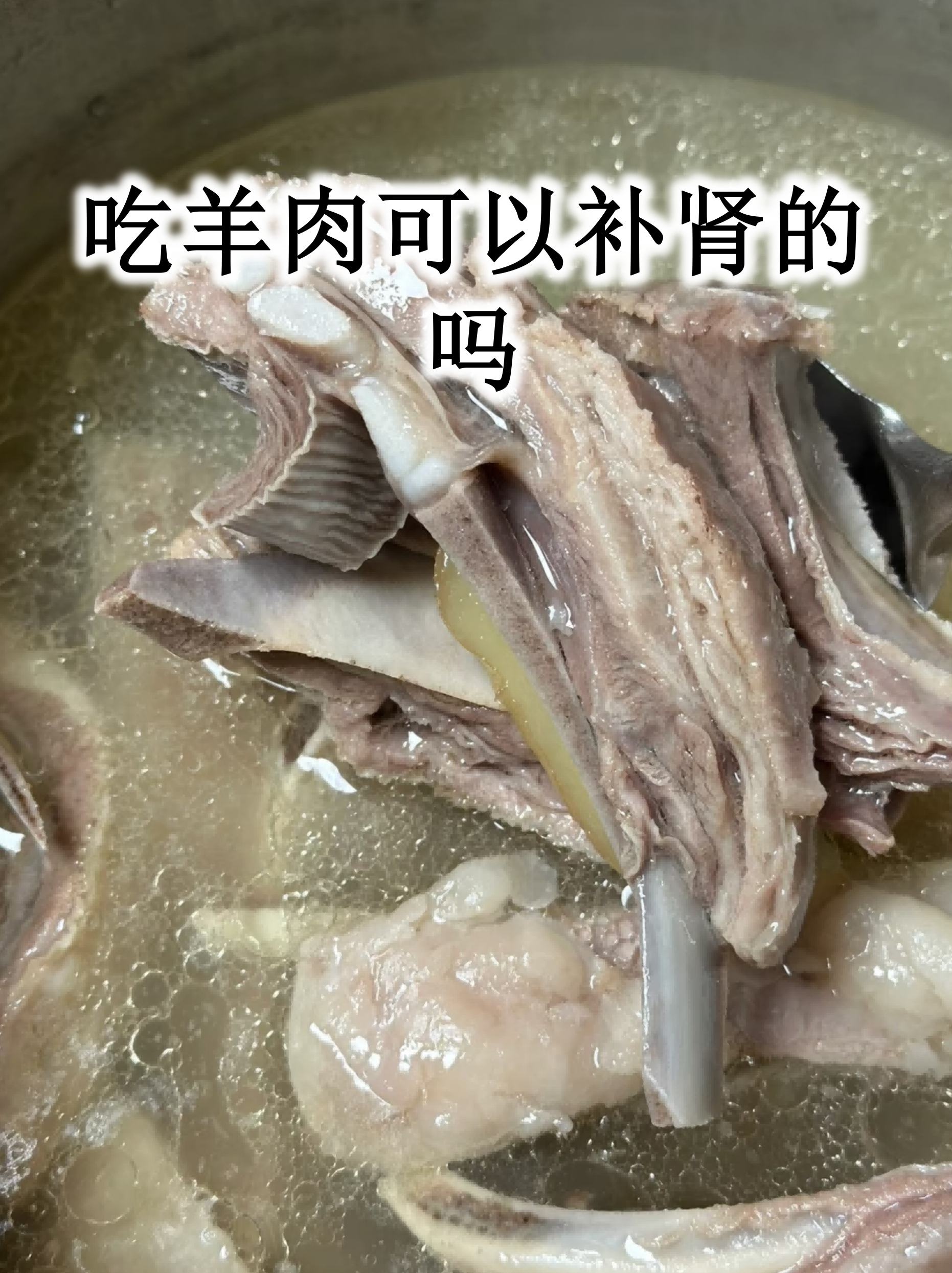 羊肉是发物吗什么人不能吃