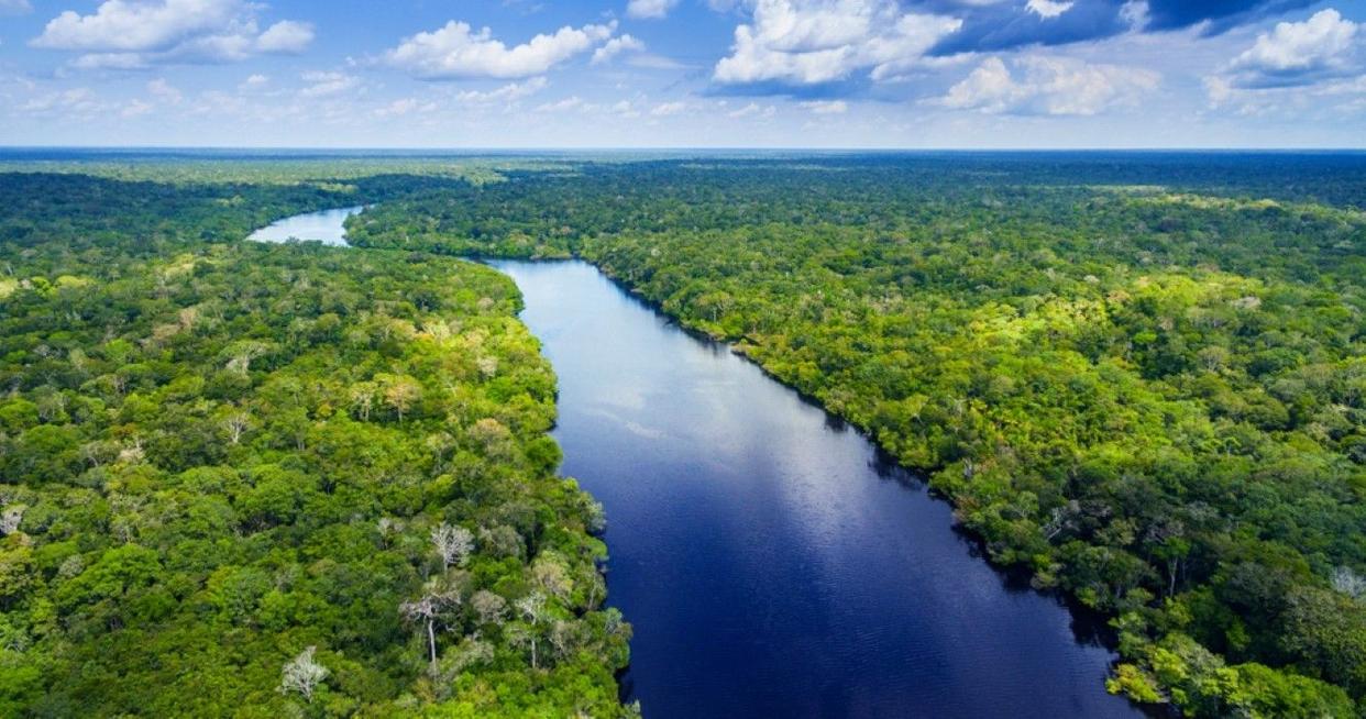 亚马逊是哪个国家的是世界什么之最